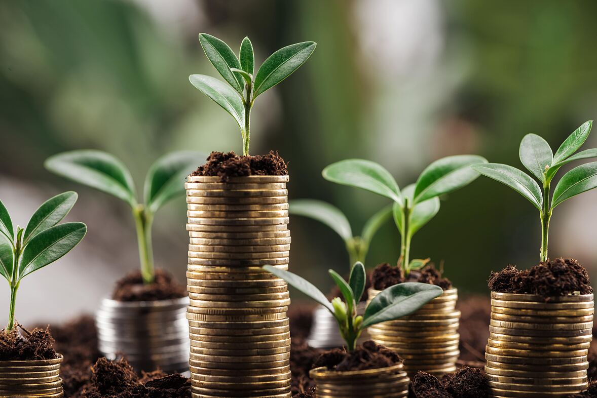 Geld und Green Finance in der „Zukunftswerkstatt“