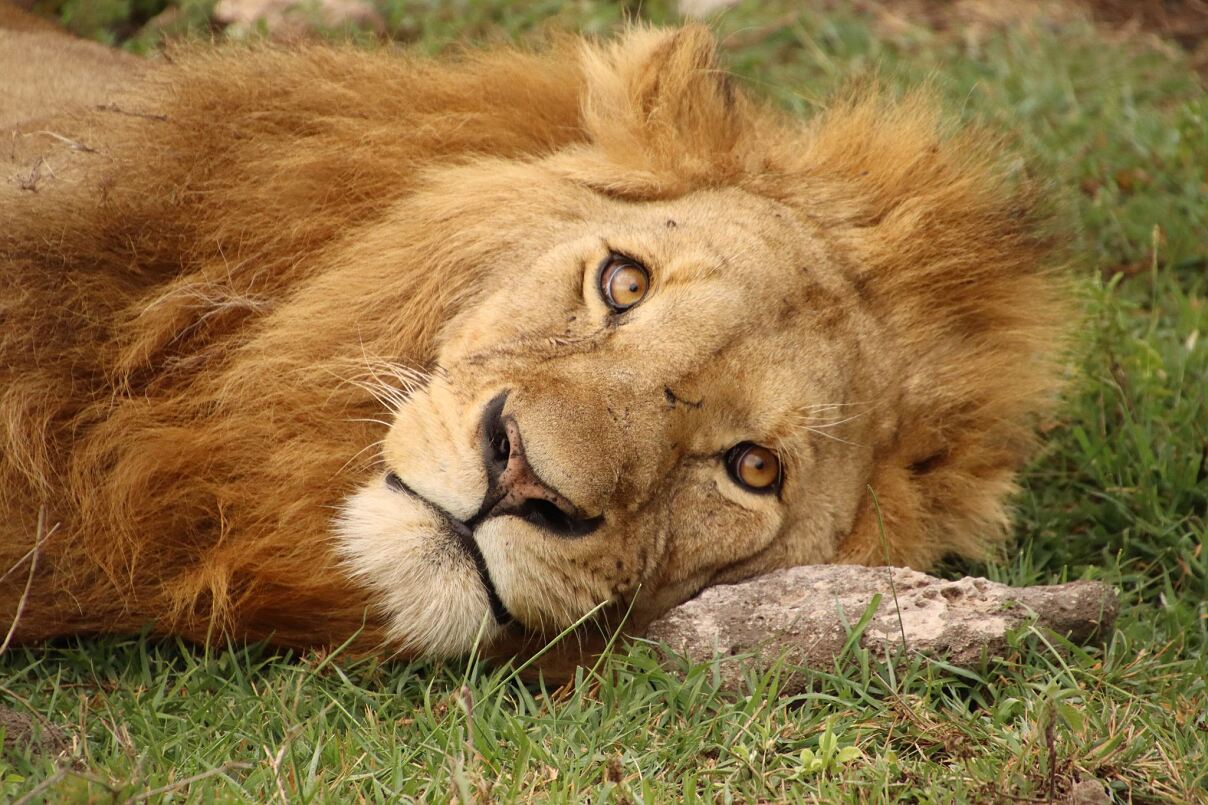 Auslandspraktikum in Tansania